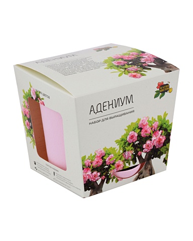 Набор д/выращивания растений Магия цветов, Адениум (mf-001) набор для выращивания растений магия цветов адениум