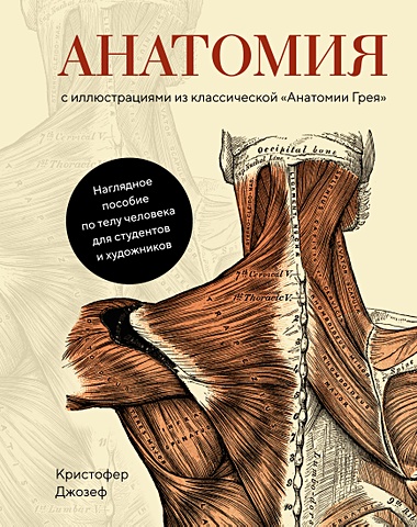 анатомия грея Джозеф Кристофер Анатомия (с иллюстрациями из классической «Анатомии Грея»)