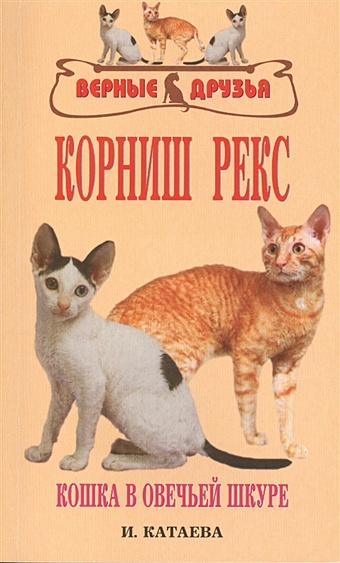 Корниш рекс