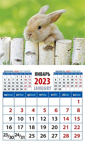 Календарь магнитный на 2023 год Год кролика. Обаятельный малыш