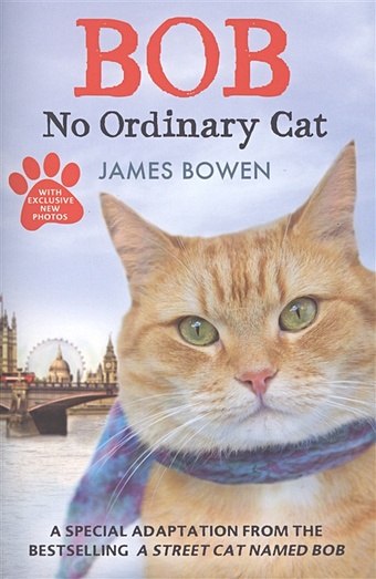 Bowen J. Bob: No Ordinary Cat bowen james bob no ordinary cat