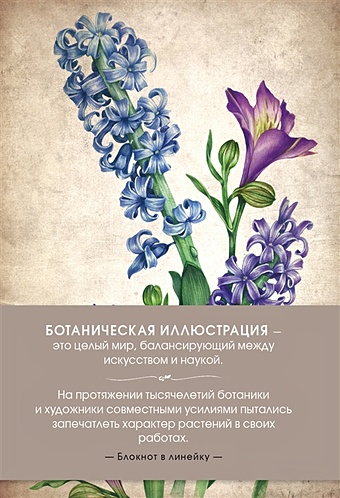 Блокнот. Ботаническая иллюстрация (сиреневый) свон энн ботаническая иллюстрация цветными карандашами пошаговое руководство