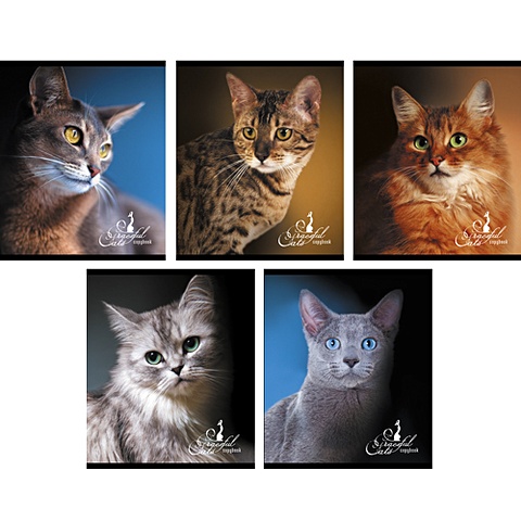 Кошачьи портреты 96л.,5 видов ТЕТРАДИ А5 (*скрепка) 96Л. Обложка: ламинирование