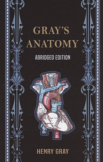 Grays Anatomy (Abridged Edition) shichen a054 good design steel body gold parts metal pen 0 7