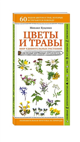 Куценко Михаил Евгеньевич Цветы и травы. Мир удивительных растений