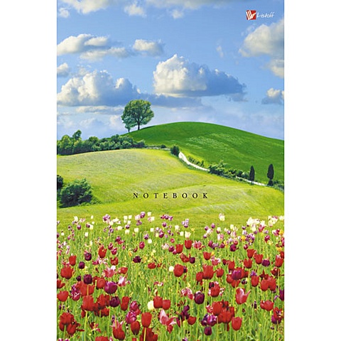 Пейзаж. Цветущие луга КНИГИ ДЛЯ ЗАПИСЕЙ А5 (7БЦ) пейзаж зеленая долина книги для записей а5 7бц