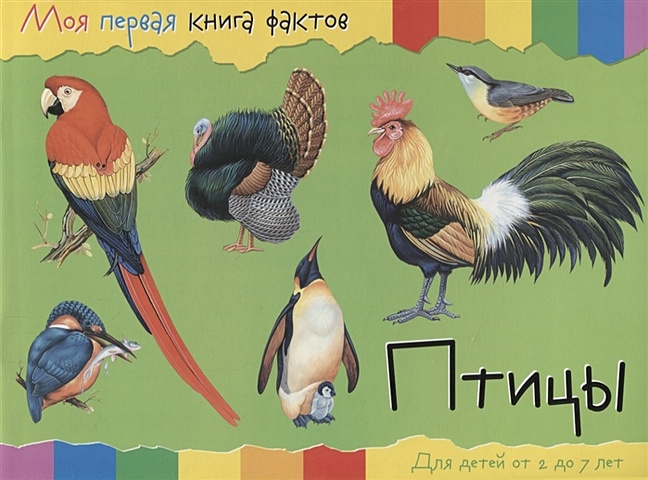 Птицы. Для детей от 2 до 7 лет забавные малыши книжка самоделка для детей от 2 до 7 лет