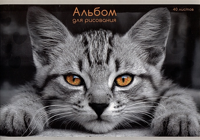Альбом для рисования 40л А4 Взгляд кота скрепка, мел.картон, выб.лак