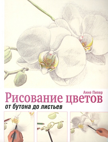 Пипер Анне Рисование цветов от бутона до листьев