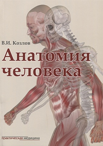 Козлов В. Анатомия человека. Учебник для медицинских вузов в и козлов о а гурова анатомия человека
