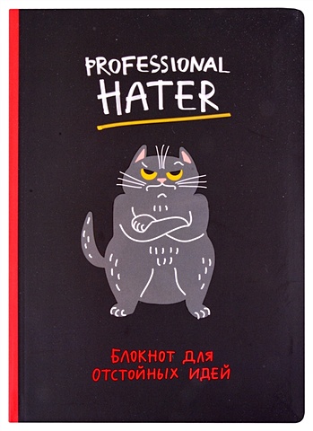 Блокнот Professional hater (кот)