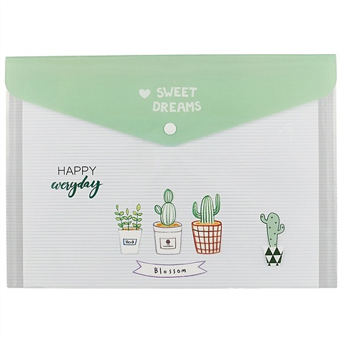 цена Папка-конверт А4 Sweet dream Cactus пластик, ассорти