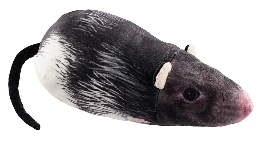 Мягкая игрушка Крыса (30 см) (19.18.2) gulliver крыса афоня 25 см
