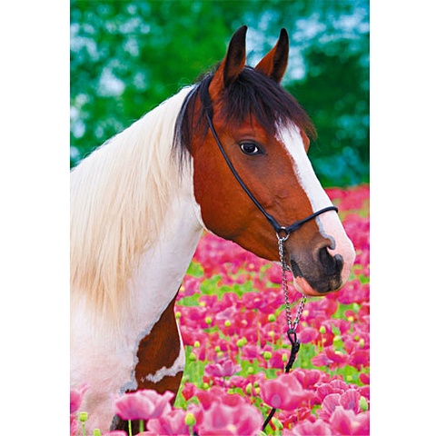В мире животных. Лошадь в цветах ПАЗЛЫ СТАНДАРТ-ПЭК