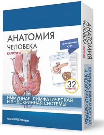 Сапин М., Николенко В., Тимофеева М. Анатомия человека. Иммунная, лимфатическая и эндокринная системы. 32 карточки