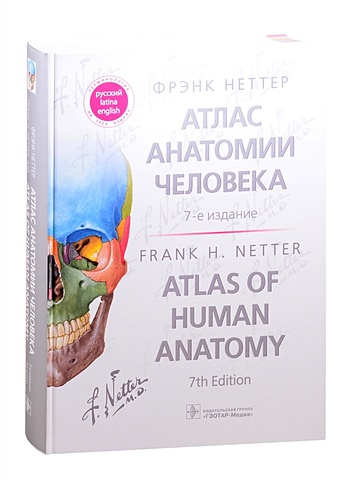 Неттер Ф. Атлас анатомии человека: терминология на русском, латинском и английском языках неттер фрэнк атлас анатомии человека