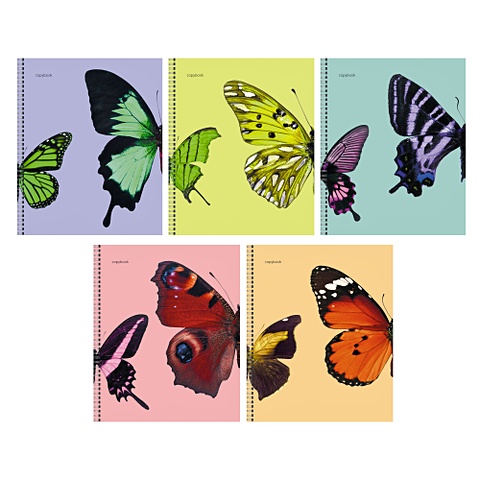 Butterflies канц эксмо тетрадь общая sketch dog а5 48 листов в клетку 2 шт
