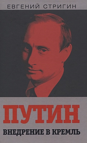 Стригин Е. Путин. Внедрение в Кремль