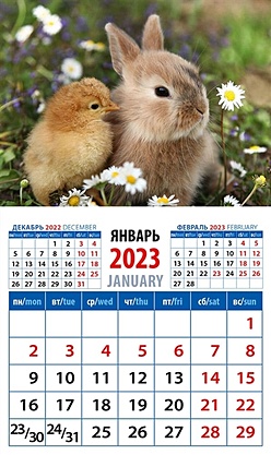 Календарь магнитный на 2023 год Год кролика. Друзья среди ромашек
