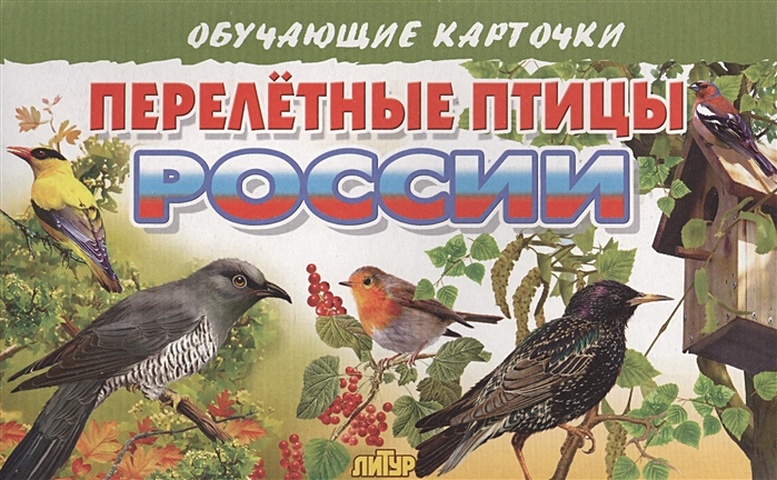 Глушкова Н. (худ.) Обучающие карточки. Перелетные птицы России