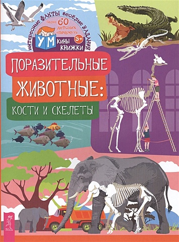 Евдокимова К. Поразительные животные: кости и скелеты