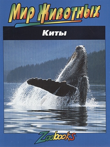 Киты антинори а книга о китах