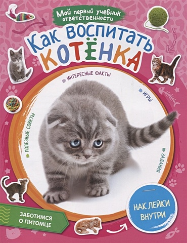 Стадольникова Т. (сост.) Как воспитать котенка + наклейки внутри