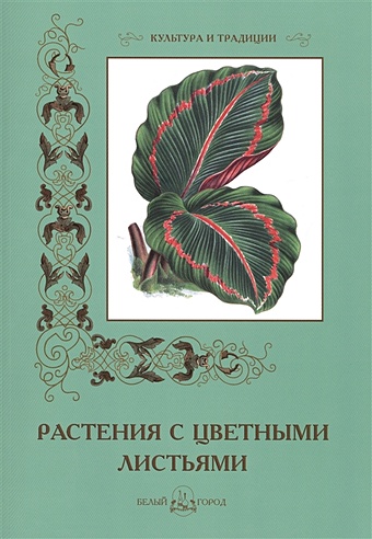 Иванов С. Растения с цветными листьями