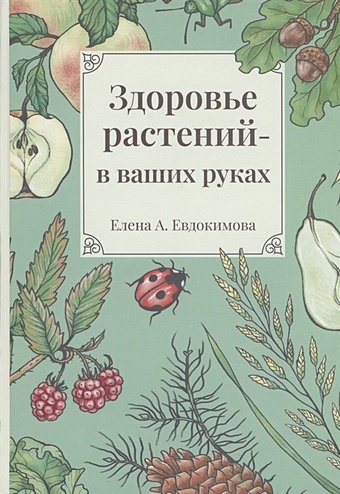 Евдокимова Е.А. Здоровье растений - в ваших руках здоровье ребенка в ваших руках