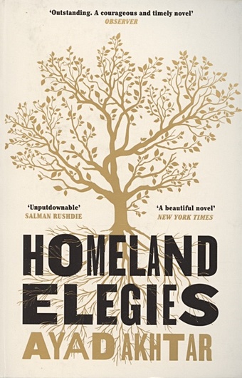 Akhtar, Ayad Homeland Elegies the fall a part of america therein
