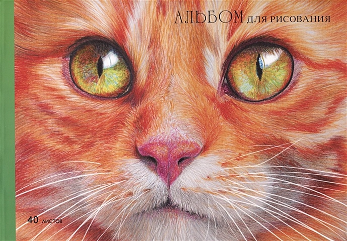 Альбом для рисования 40л А4 Рыжий котик склейка, мел.картон, мат.ламинация сувенир котик васька рыжий