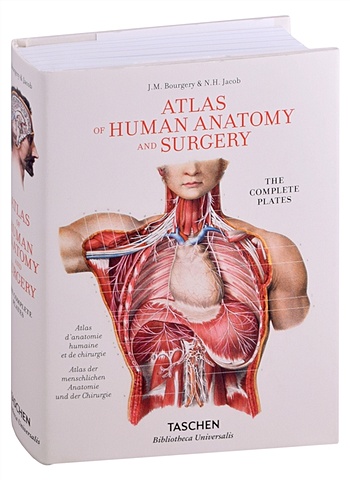 Bourgery J.M., Jacob N.H. Atlas of Human Anatomy and Surgery 40cm skeleton model wholesale learn aid anatomy art sketch halloween flexible human anatomical anatomy bone