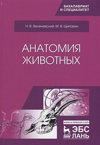 Зеленевский Н., Щипакин М. Анатомия животных. Учебник