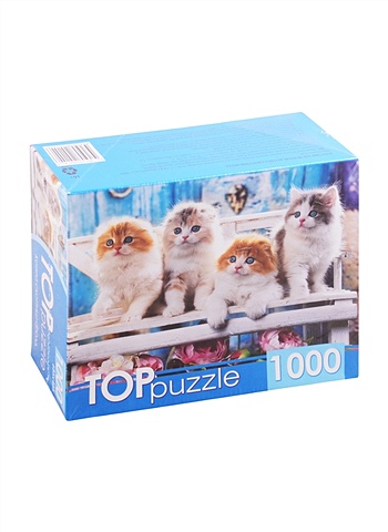 Пазл TOPpuzzle Котята скоттиш фолд, 1000 элементов toppuzzle пазлы 1000 элементов котята и чаепитие