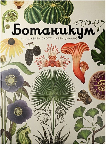 Уиллис К. Ботаникум