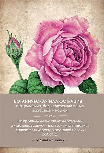 Блокнот. Ботаническая иллюстрация (розовый) свон энн ботаническая иллюстрация цветными карандашами пошаговое руководство