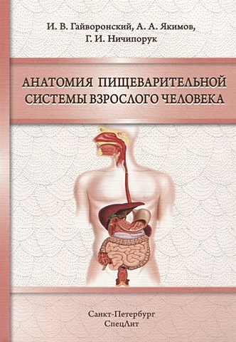 Гайворонский И. Анатомия пищеварительной системы взрослого человека. Учебное пособие
