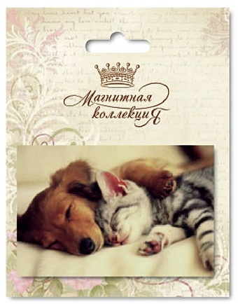 Сувенир, Минимакс, Магнитная открытка Ассорти Кот и собака