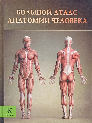 Перез Винсент Большой атлас анатомии человека махиянова е б перевод большой атлас анатомии человека