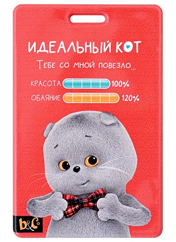Чехол для карточек вертикальный Басик Идеальный кот кот басик с сердцем из фетра