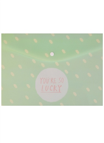 Папка-конверт А4 на кнопке Lucky цена и фото