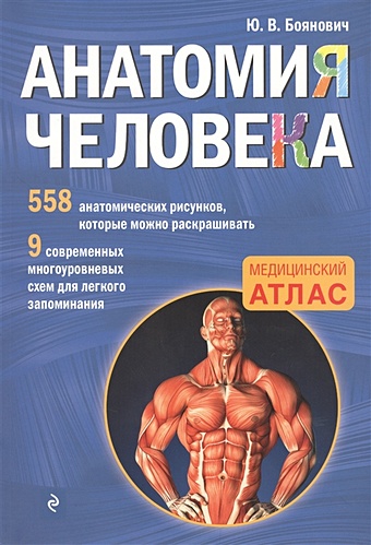Боянович Юрий Владимирович Анатомия человека со страницами для раскрашивания атлас нервная система человека