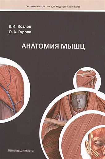 Козлов В., Гурова О. Анатомия мышц. Учебное пособие в и козлов о а гурова анатомия человека