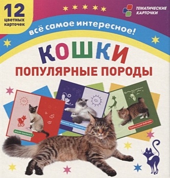 кошка Кошки. Популярные породы. 12 цветных карточек. Всё самое интересное! Набор для занятий с детьми