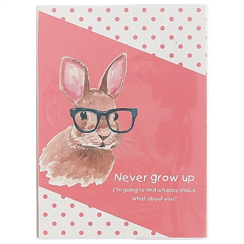 Тетрадь в клетку «Never grow up», 70 листов, А5