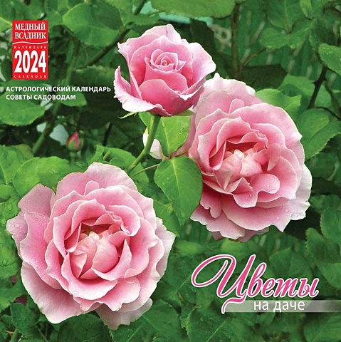Календарь 2024г 300*300 Цветы на даче настенный, на скрепке календарь настенный на 2023 год сергей андрияка цветы
