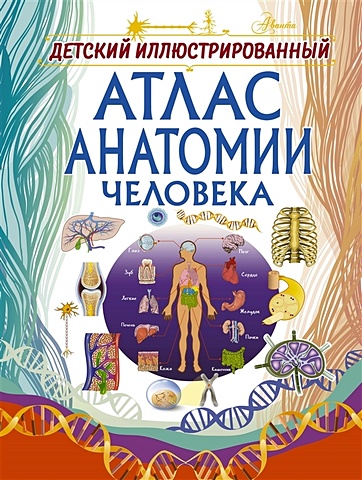 Спектор Анна Артуровна Детский иллюстрированный атлас анатомии человека