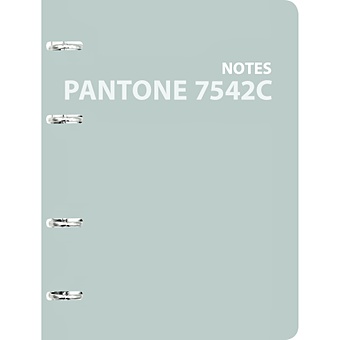 Pantone line. Color 21. No. 1 тетрадь на кольцах pantone line 2582с 120 листов