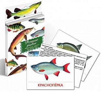 Речные рыбы. Дидактические карточки для ознакомления с окружающим миром