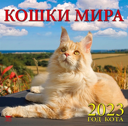 Календарь настенный на 2023 год Год кота. Кошки мира цена и фото